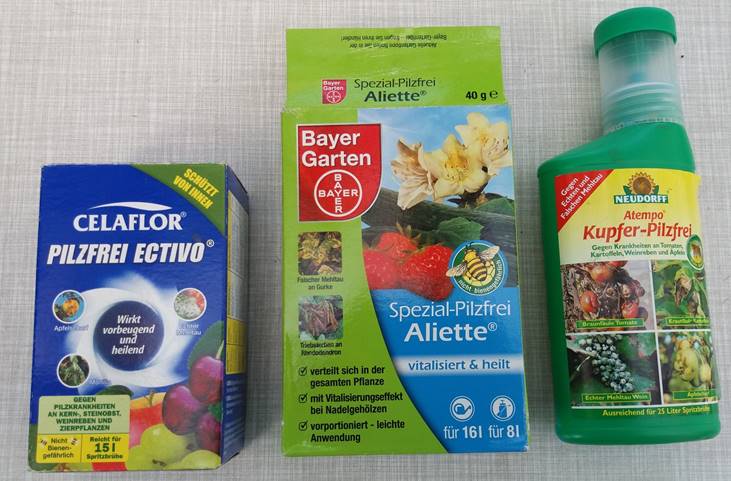 files/Redaktion/Gartentipps/Bilder/Bilder 2017/3 Spritzmitteln.jpg